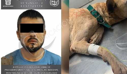 Sujeto que arrastró a perrita atada a un vehíhiculo en Tepotzotlán enfrenta proceso penal